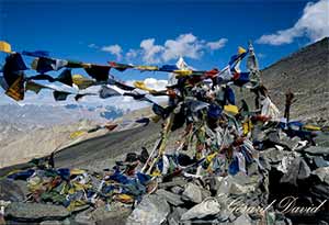 Trek_Himalaya